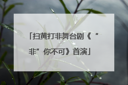 扫黄打非舞台剧《“非”你不可》首演