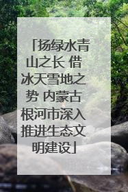 扬绿水青山之长 借冰天雪地之势 内蒙古根河市深入推进生态文明建设