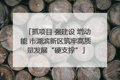 抓项目 强建设 增动能 市湖滨新区筑牢高质量发展“硬支撑”