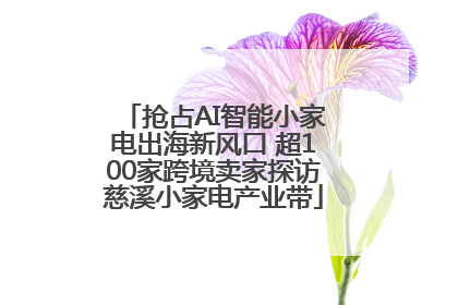 抢占AI智能小家电出海新风口 超100家跨境卖家探访慈溪小家电产业带