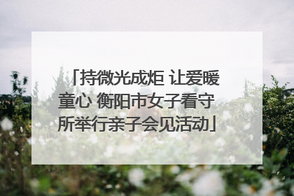 持微光成炬 让爱暖童心 衡阳市女子看守所举行亲子会见活动