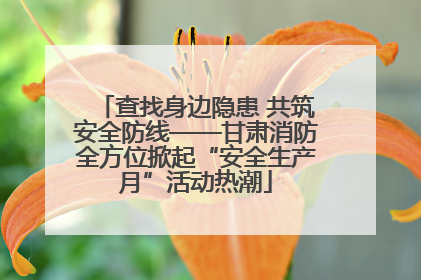查找身边隐患 共筑安全防线——甘肃消防全方位掀起“安全生产月”活动热潮