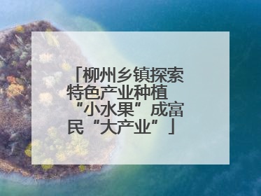 柳州乡镇探索特色产业种植 “小水果”成富民“大产业”