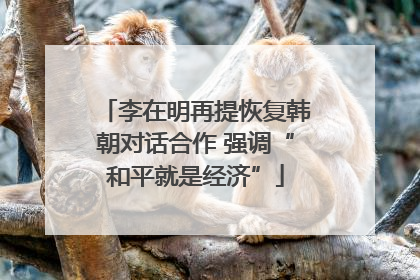李在明再提恢复韩朝对话合作 强调“和平就是经济”