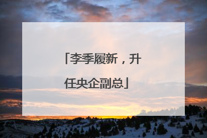李季履新，升任央企副总