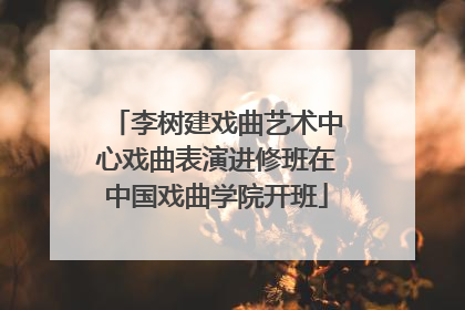 李树建戏曲艺术中心戏曲表演进修班在中国戏曲学院开班