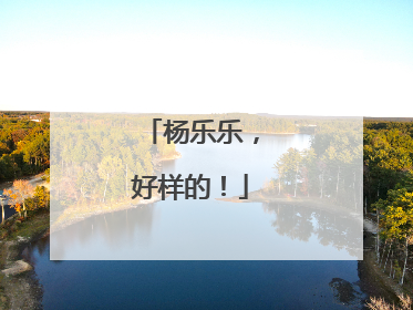 杨乐乐，好样的！