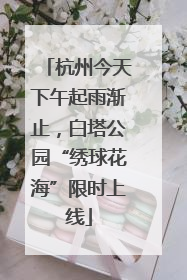 杭州今天下午起雨渐止，白塔公园“绣球花海”限时上线