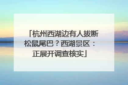 杭州西湖边有人拔断松鼠尾巴？西湖景区：正展开调查核实