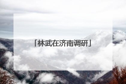 林武在济南调研