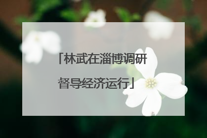 林武在淄博调研督导经济运行