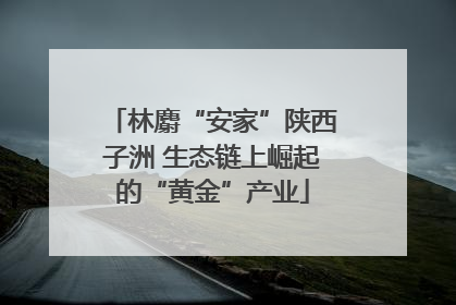林麝“安家”陕西子洲 生态链上崛起的“黄金”产业