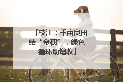 枝江：千亩良田结“金穗”，绿色循环助增收