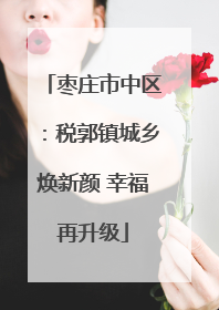 枣庄市中区：税郭镇城乡焕新颜 幸福再升级