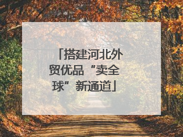 搭建河北外贸优品“卖全球”新通道