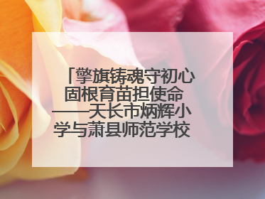 擎旗铸魂守初心 固根育苗担使命——天长市炳辉小学与萧县师范学校附属小学结对共建活动纪实