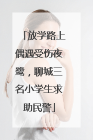 放学路上偶遇受伤夜鹭，聊城三名小学生求助民警