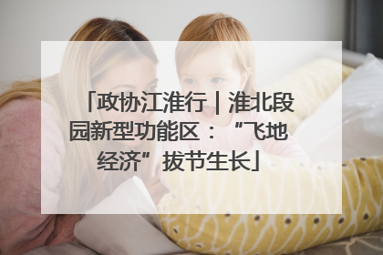 政协江淮行｜淮北段园新型功能区：“飞地经济”拔节生长