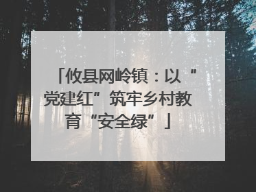 攸县网岭镇：以“党建红”筑牢乡村教育“安全绿”