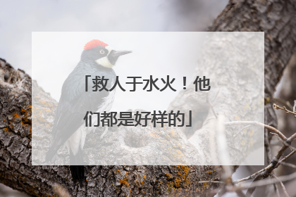 救人于水火！他们都是好样的