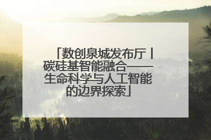 数创泉城发布厅丨碳硅基智能融合——生命科学与人工智能的边界探索
