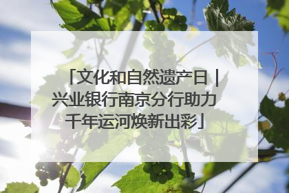 文化和自然遗产日｜兴业银行南京分行助力千年运河焕新出彩