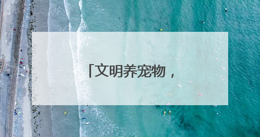 文明养宠物，蔚然树新风