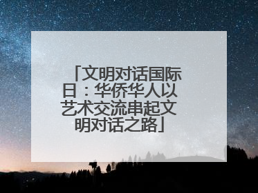 文明对话国际日：华侨华人以艺术交流串起文明对话之路
