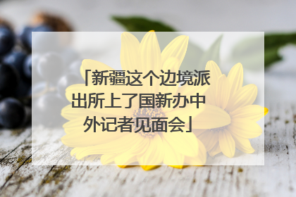 新疆这个边境派出所上了国新办中外记者见面会