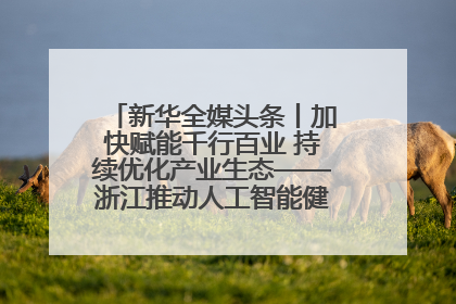 新华全媒头条丨加快赋能千行百业 持续优化产业生态——浙江推动人工智能健康有序发展观察