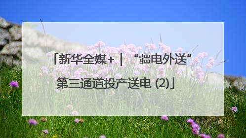新华全媒+｜“疆电外送”第三通道投产送电 (2)