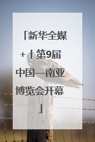 新华全媒+丨第9届中国—南亚博览会开幕