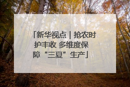 新华视点｜抢农时 护丰收 多维度保障“三夏”生产