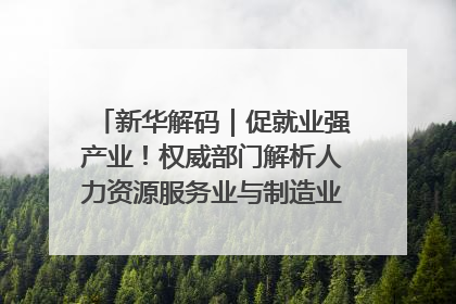 新华解码｜促就业强产业！权威部门解析人力资源服务业与制造业融合发展试点
