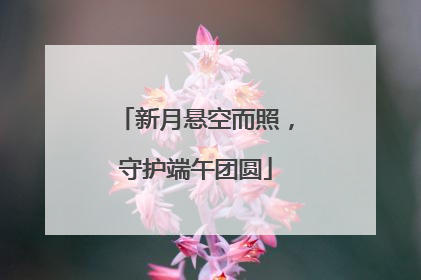 新月悬空而照，守护端午团圆