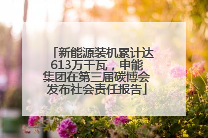 新能源装机累计达613万千瓦，申能集团在第三届碳博会发布社会责任报告