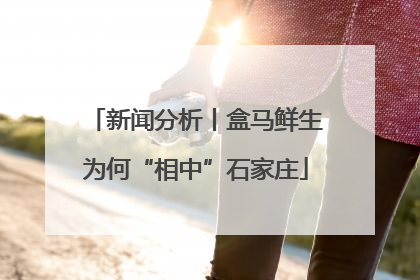 新闻分析丨盒马鲜生为何“相中”石家庄