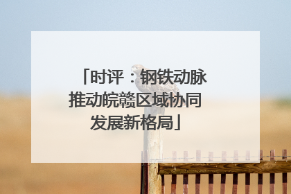 时评：钢铁动脉推动皖赣区域协同发展新格局