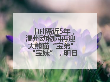 时隔近5年，温州动物园再迎大熊猫“宝弟”“宝妹”，明日正式开馆！