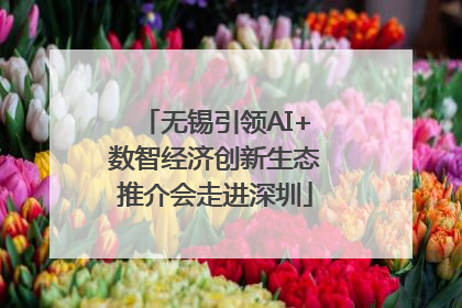 无锡引领AI+数智经济创新生态推介会走进深圳