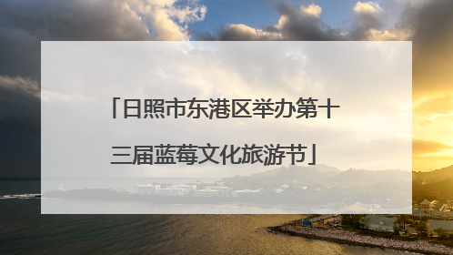 日照市东港区举办第十三届蓝莓文化旅游节