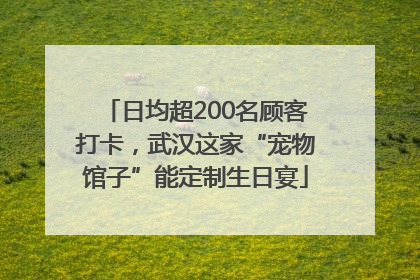 日均超200名顾客打卡，武汉这家“宠物馆子”能定制生日宴