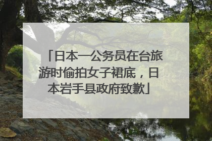日本一公务员在台旅游时偷拍女子裙底，日本岩手县政府致歉