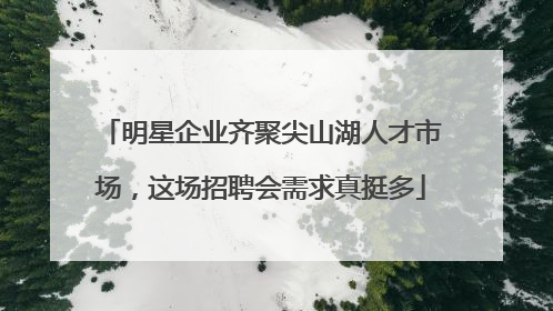 明星企业齐聚尖山湖人才市场，这场招聘会需求真挺多