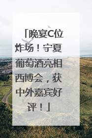 晚宴C位炸场！宁夏葡萄酒亮相西博会，获中外嘉宾好评！