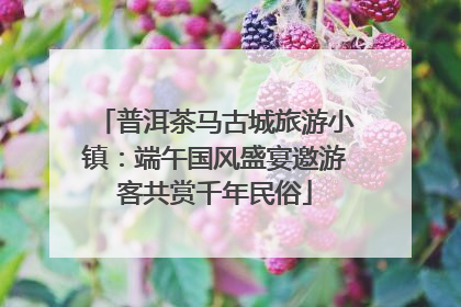 普洱茶马古城旅游小镇：端午国风盛宴邀游客共赏千年民俗