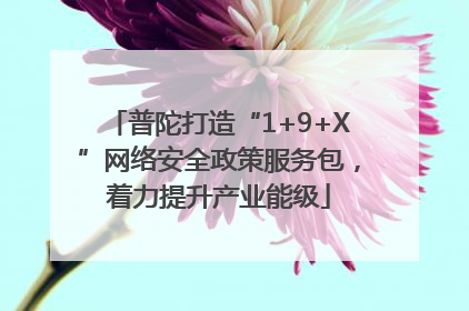 普陀打造“1+9+X”网络安全政策服务包，着力提升产业能级