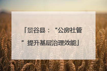 景谷县：“公房社管”提升基层治理效能