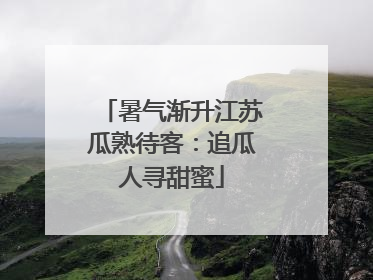 暑气渐升江苏瓜熟待客：追瓜人寻甜蜜
