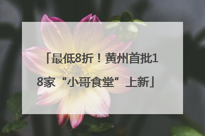 最低8折！黄州首批18家“小哥食堂”上新